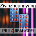 Ziyinzhuangyang 05